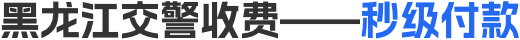 黑龙江交警收费——秒级付款